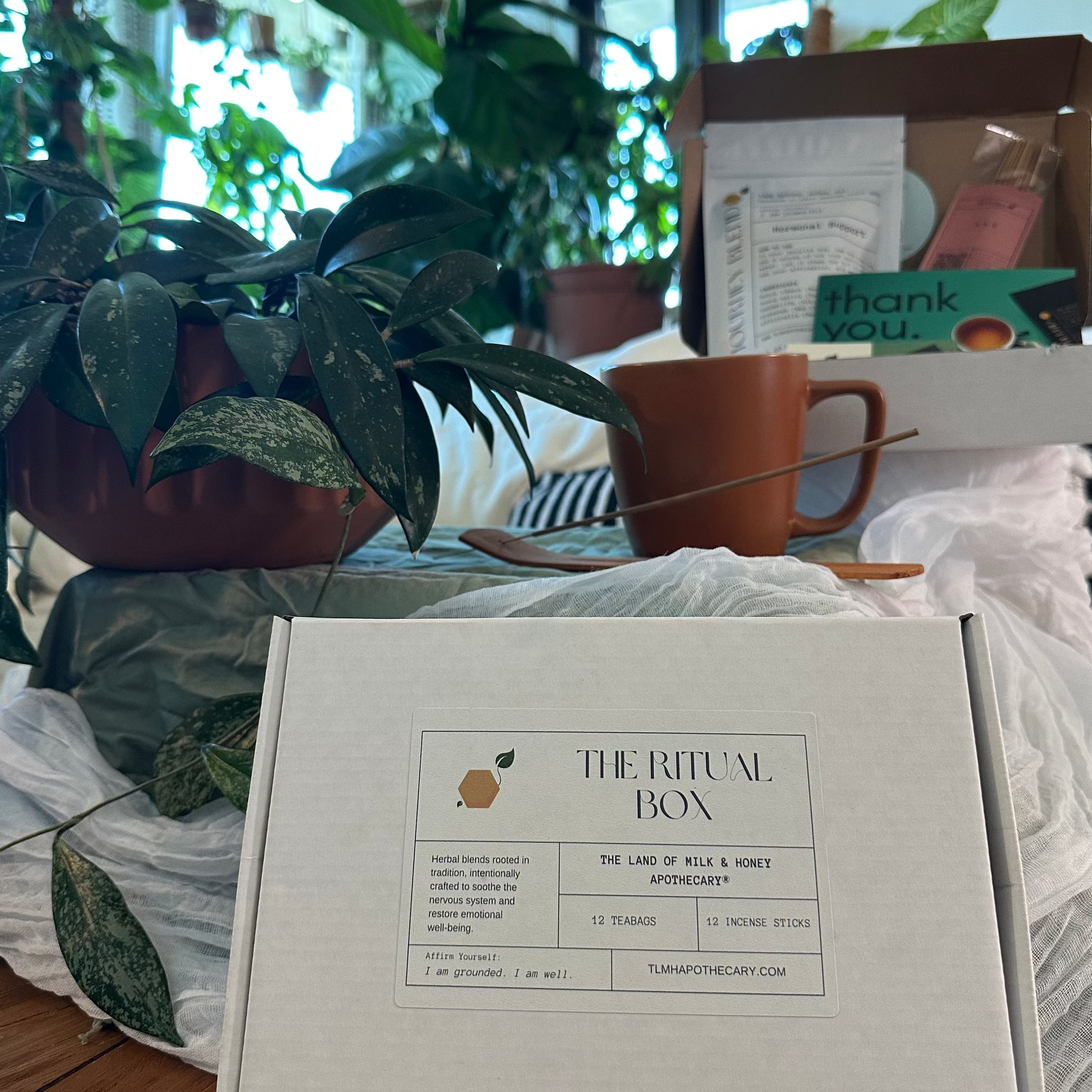 The Ritual Box with plants and a mug in the background